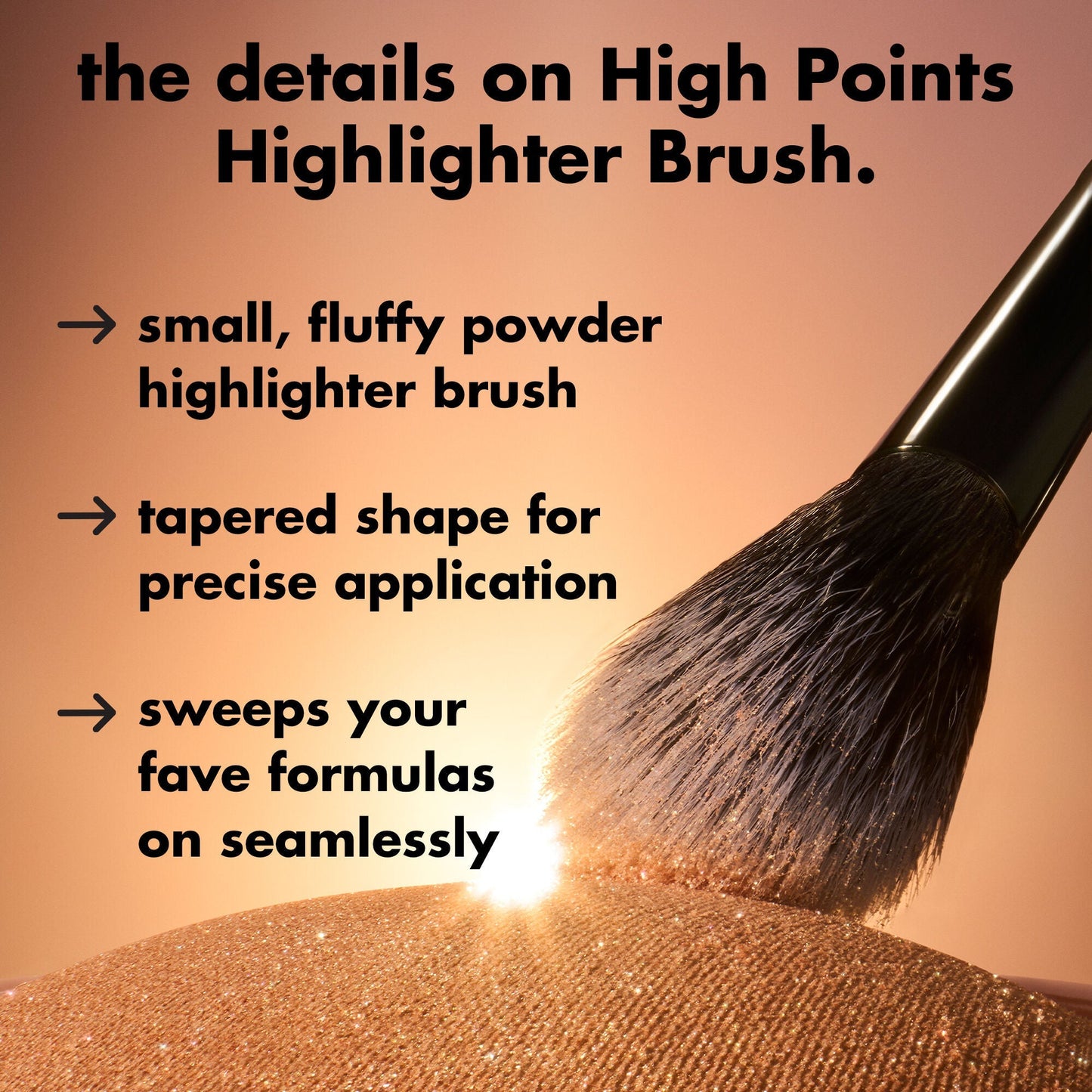 high-points-highlighter-brush-h2 0226_EDU_HighpointsHighlighterBrush_Details.jpg