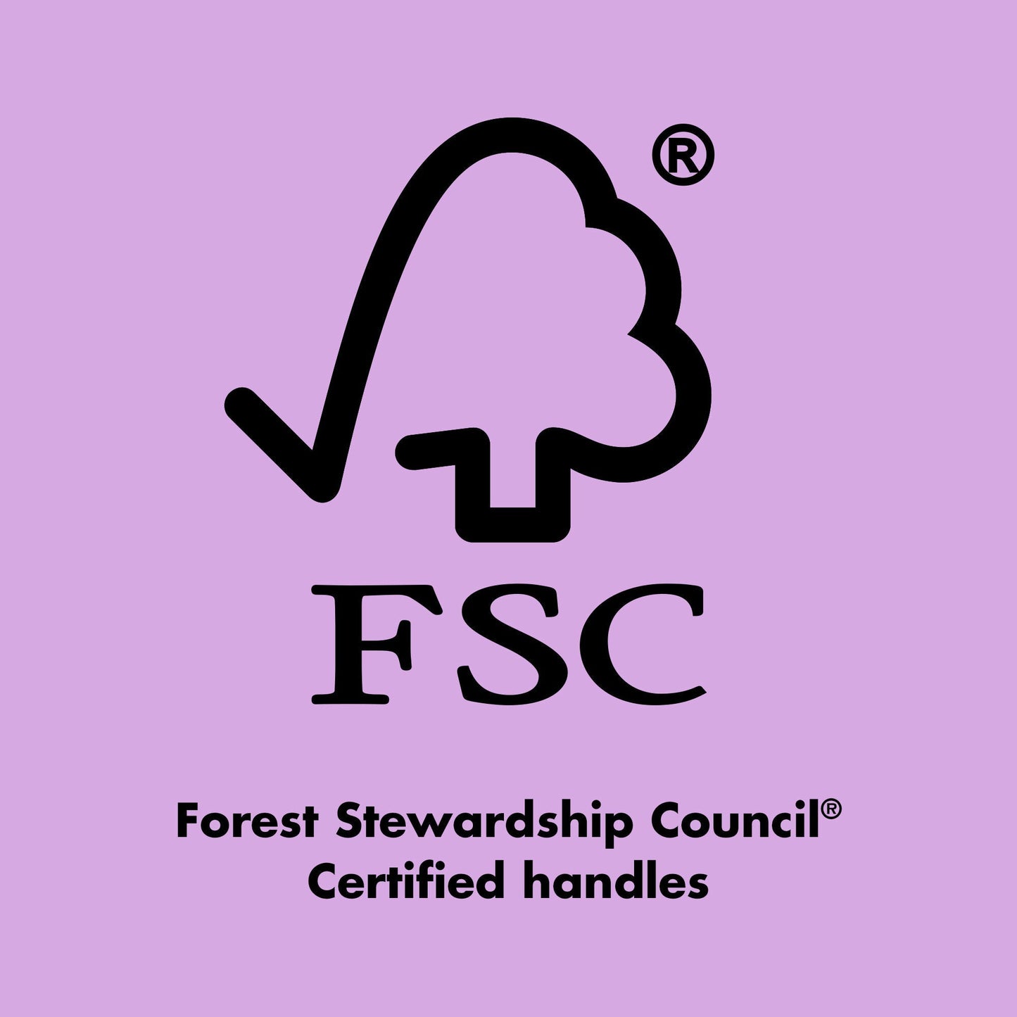 ten-out-of-ten-brush-kit-r7 0423_EDUCATION_FSC_EVERGREEN.jpg