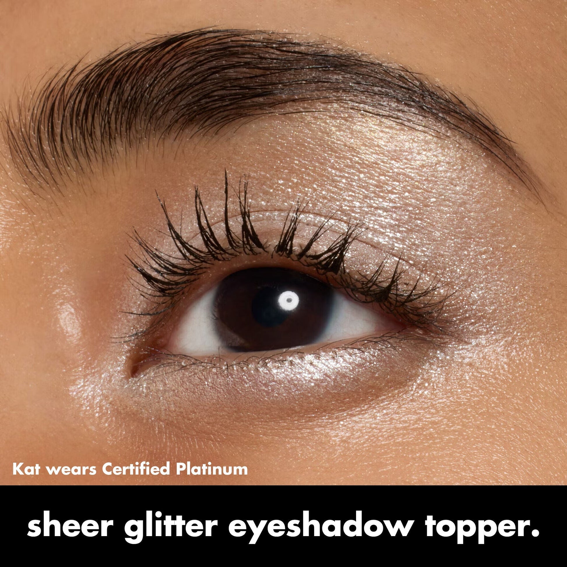 fine-as-fleck-glitter-eyeshadow-r3 0424_EDUCATION_FINEASFLECK_EYESHADOW_OnModel_certifiedplatinum_Kat.jpg