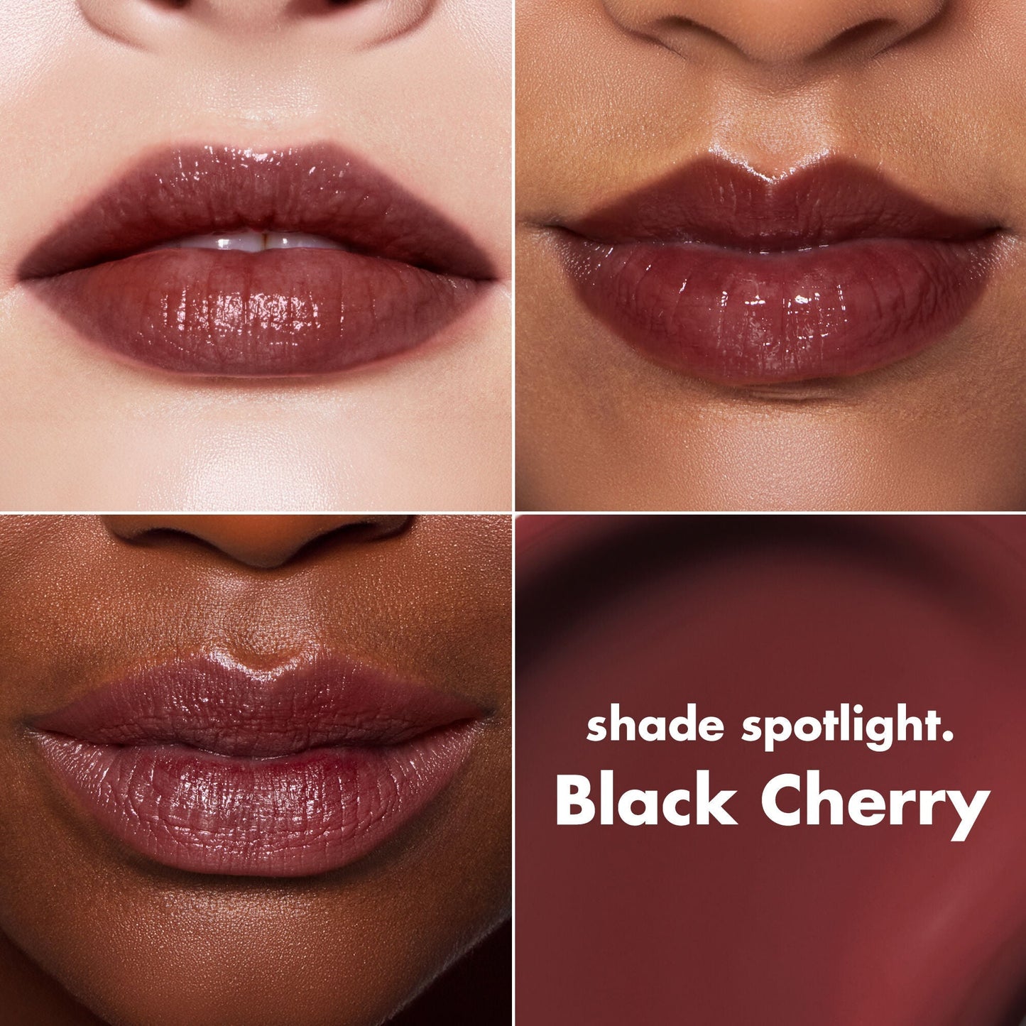 lip-lacquer-b2 0426_EDU_LipLaquer_ShadeChart_BlackCherry.jpg