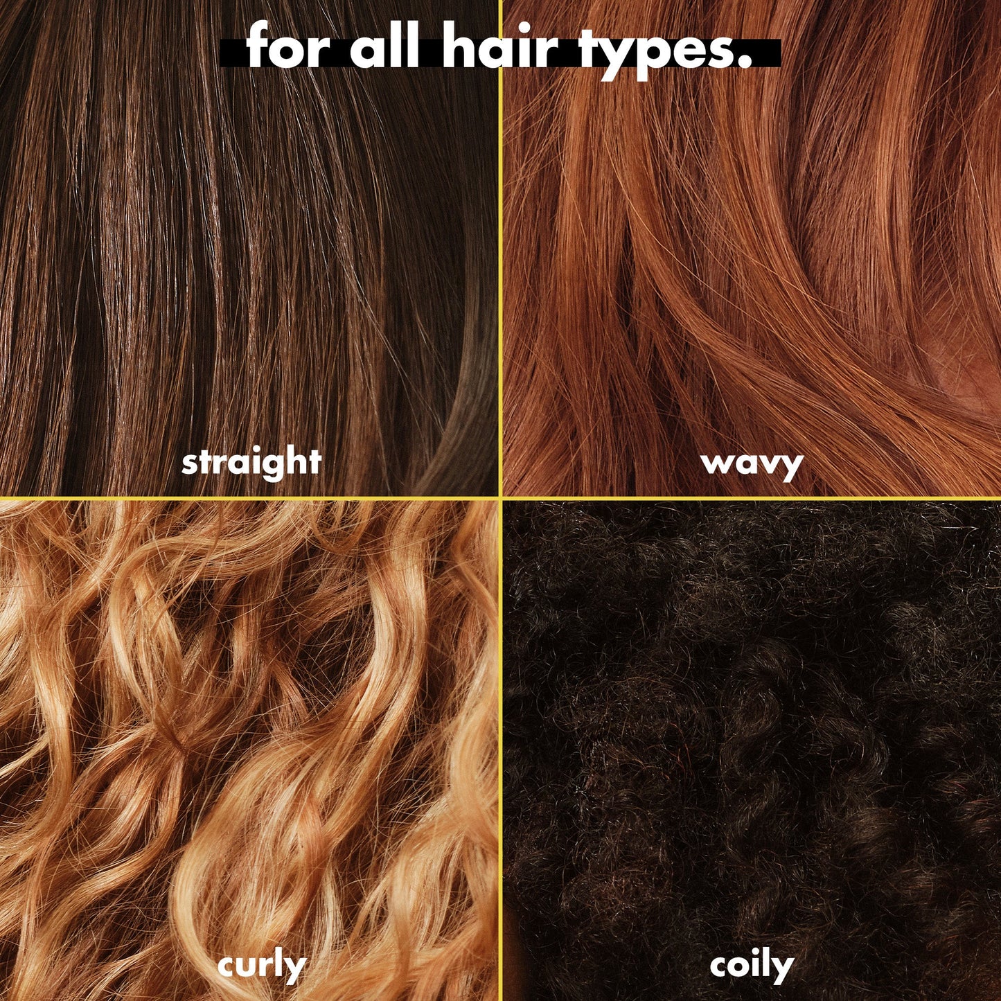 3-in-wonder-duo-c6 FA26_EDUCATION_DARE_GLOSS_MODE_ALLHAIR_TYPES.jpg